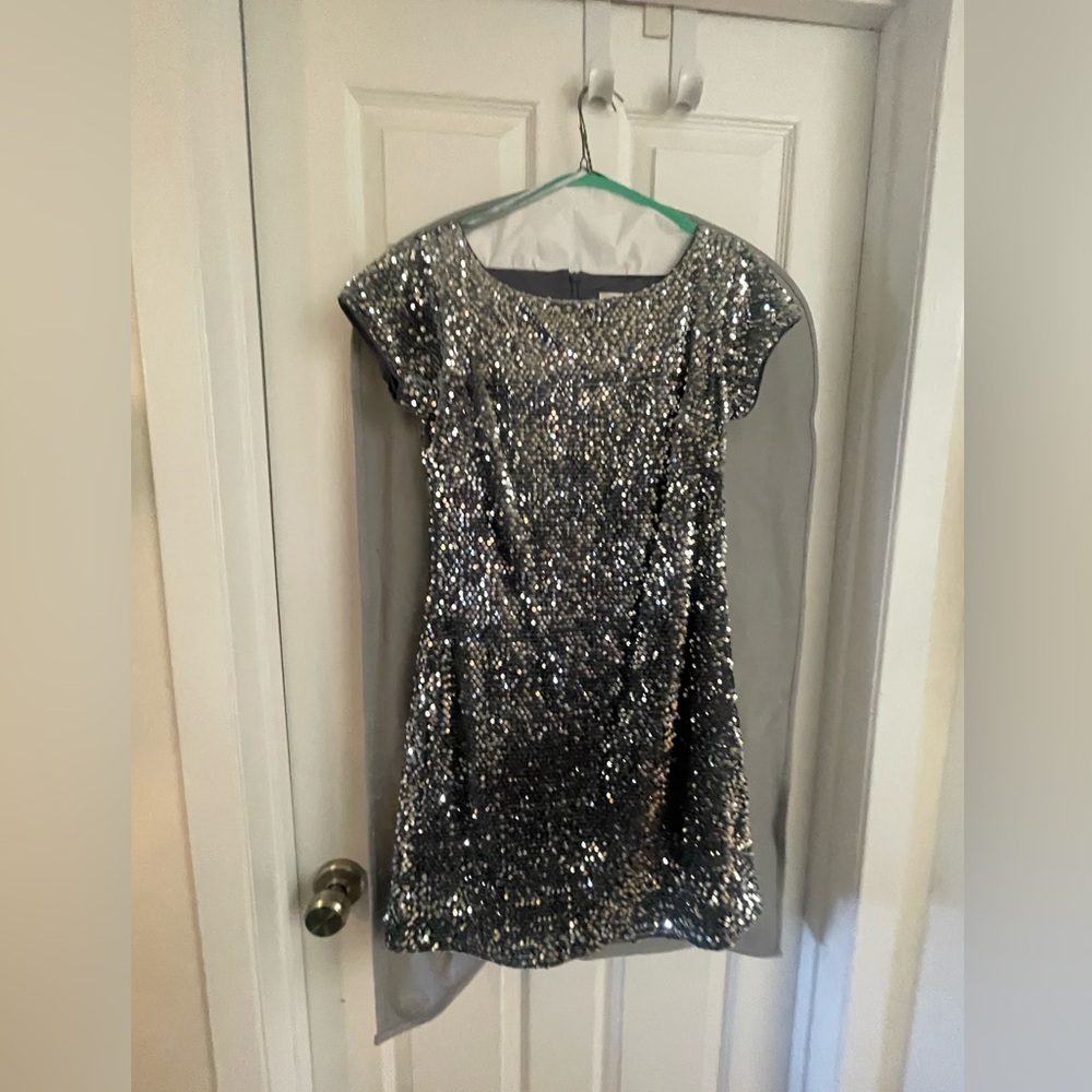 Silver Sparkly Dress